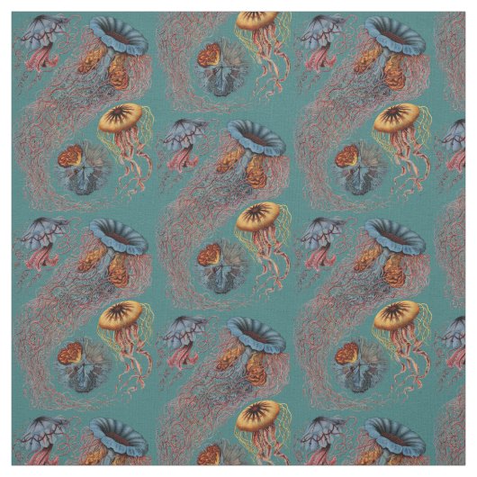 Tissu Discomedusae d'Ernst Haeckel (Échantillon)