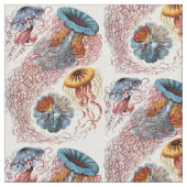 Tissu Discomedusae d'Ernst Haeckel (Fermer)