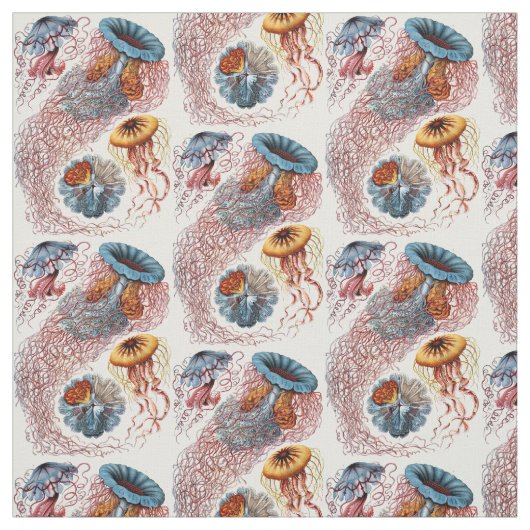Tissu Discomedusae d'Ernst Haeckel (Échantillon)