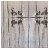 Tissu d'oies du Canada (Fermer)