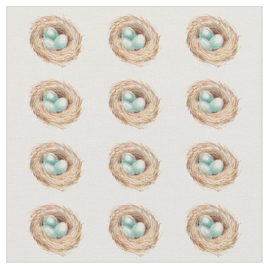 Tissu d'oiseau de nid des oeufs de Robin (Fermer)