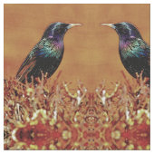 Tissu d'oiseau d'étourneau (Fermer)