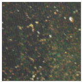 Tissu Dragon sur une texture orange (fermé)