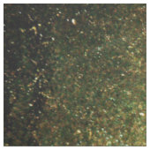 Tissu Dragon sur une texture orange (Échantillon)