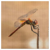 Tissu Dragonfly peinte isolée contre Ecru (Fermer)
