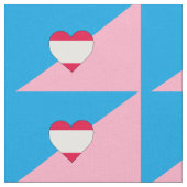 Tissu Drapeau de fierté de jeu d'âge (Fermer)