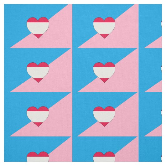 Tissu Drapeau de fierté de jeu d'âge (Échantillon)