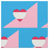 Tissu Drapeau de fierté de jeu d'âge (Fermer)