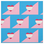 Tissu Drapeau de fierté de jeu d'âge (Échantillon)