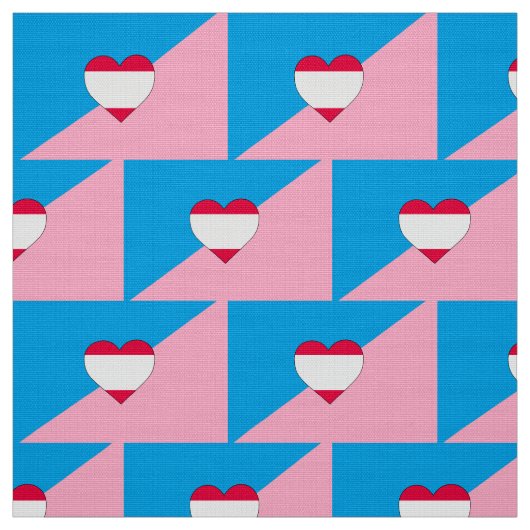 Tissu Drapeau de fierté de jeu d'âge (Échantillon)