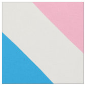 TISSU DRAPEAU DE FIERTE DE JEU D'ÂGE (Fermer)