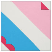 TISSU DRAPEAU DE FIERTE DE JEU D'ÂGE (Échantillon)