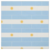 Tissu Drapeau de l'Argentine (Échantillon)