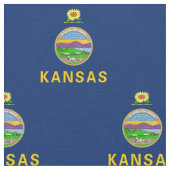 Tissu Drapeau de l'État du Kansas (Fermer)