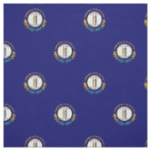 Tissu Drapeau de l'État du Kentucky (Échantillon)