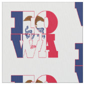 Tissu Drapeau d'état américain de l'Iowa (fermé)