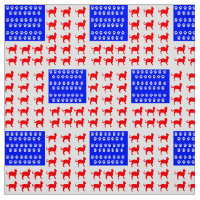 Drapeau mât et chat