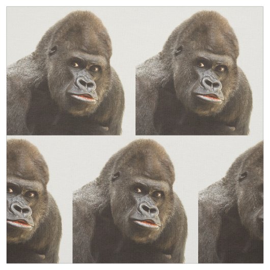 Tissu drôle de gorille (Échantillon)