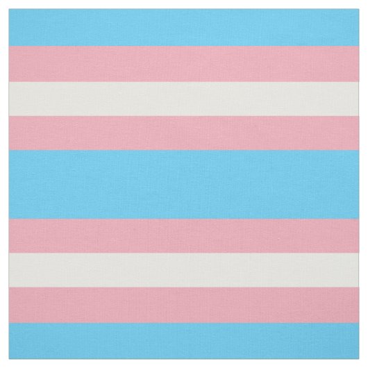 Tissu du drapeau de la fierté transgenre (Échantillon)