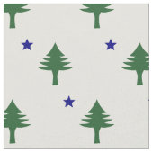 Tissu du drapeau du Maine original (Fermer)