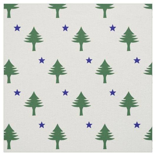 Tissu du drapeau du Maine original (Échantillon)