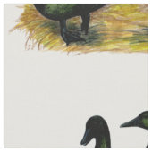 Tissu Ducks : Cayuga Pair (Fermer)