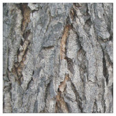 Tissu D'un arbre (Détail)