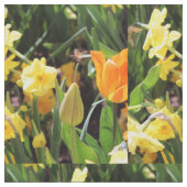 Tissu Éclairage (Fermer)