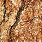 Tissu Écorce d'arbre D (Carreau)