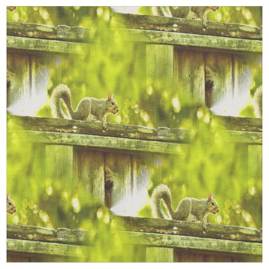 Tissu Écureuil (Fermer)