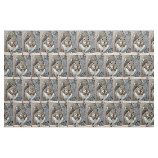 Tissu Écureuil affamé (Fat Quarter)