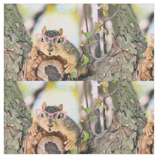 Tissu Écureuil chic (Fermer)