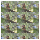 Tissu Écureuil harmonique (Échantillon)