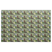 Tissu Écureuil harmonique (Fat Quarter)