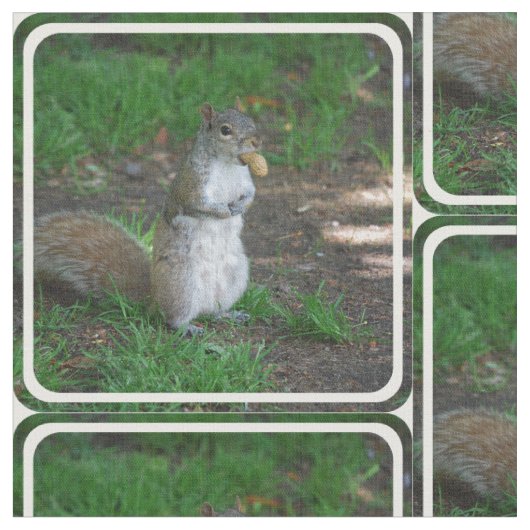 Tissu Écureuil idiot (Fermer)