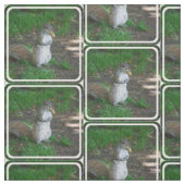 Tissu Écureuil idiot (Échantillon)