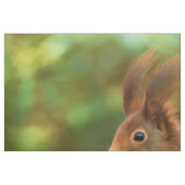 Tissu Écureuil sur un arbre (Fat Quarter)