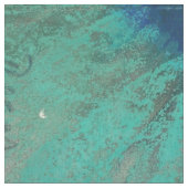 Tissu Edgar Degas - Swaying Dancer / Danseuse en vert (Fermer)