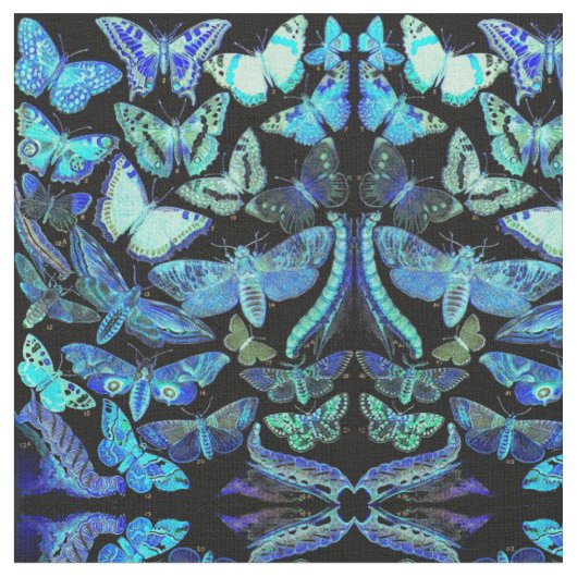 Tissu éffrayant de noir bleu de mites de papillons (Fermer)