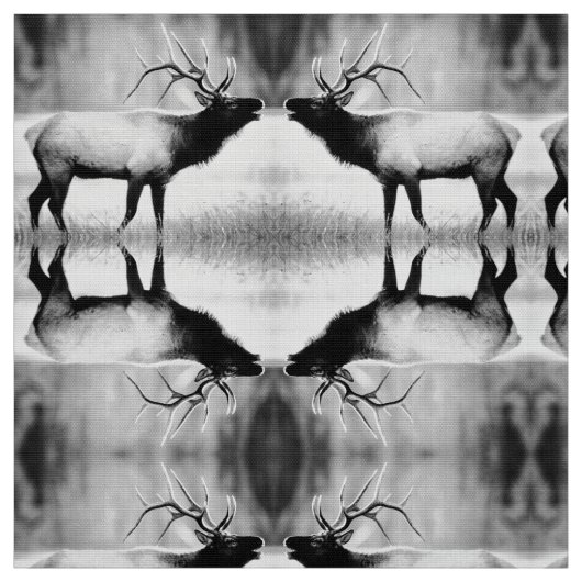 Tissu Elbe noir et blanc (Échantillon)