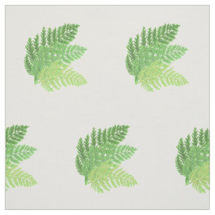Tissu Élégante fougères vertes feuilles de bois