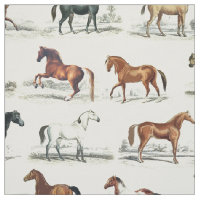 Élégantes races Vintages de chevaux