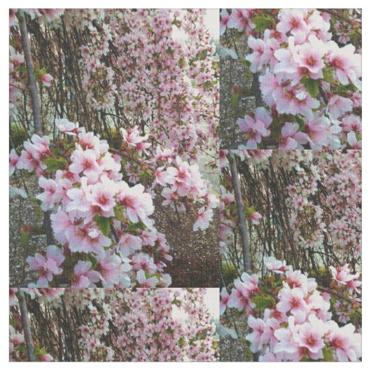 TISSU ÉLEVER DES PETAUX ROSES (Fermer)