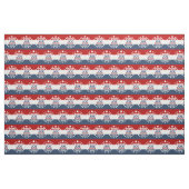 Tissu Élire Joe Biden (Yard)