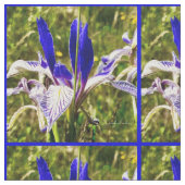 Tissu Elkhorn Mountain Iris (Fermer)