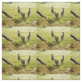 Tissu Emu Chicks Avec Emu Big Foot, (Échantillon)