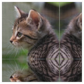 Tissu en popeline de polyester miroir de chaton mi (Fermer)