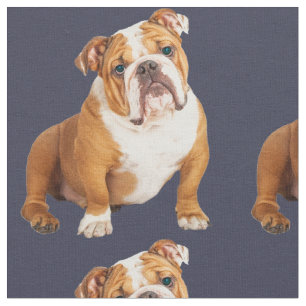 Tissu English Bulldog Dog pop art familier