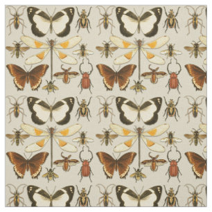 Tissu Entomologie Papillon Insectes Illustrations Vintag
