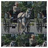 Tissu entraînement de chariot (Fermer)